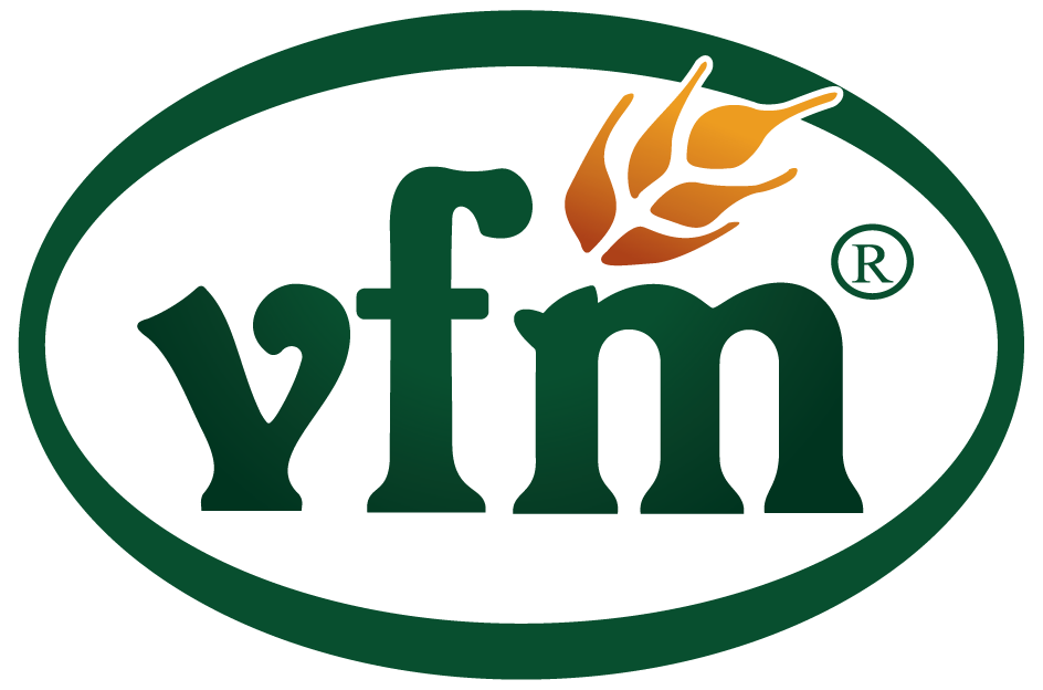 main-logo